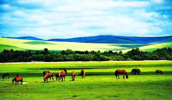内蒙古草原之歌,壮丽风光与民族传奇的交响乐章