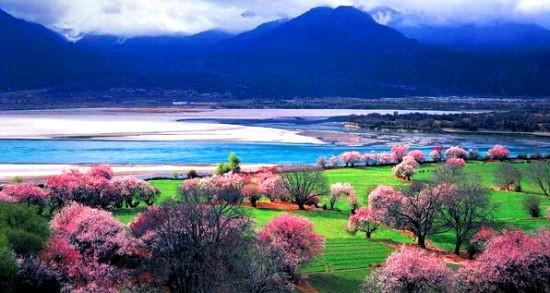 西藏,神秘高原的神秘天堂之旅