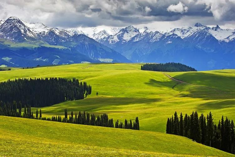 新疆小巷中的隐秘美食秘境