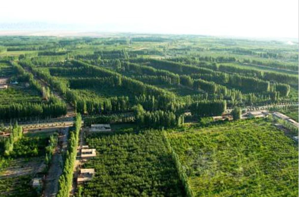 新疆小巷中的隐秘美食秘境