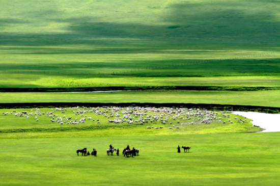 呼伦贝尔,草原明珠的壮美画卷