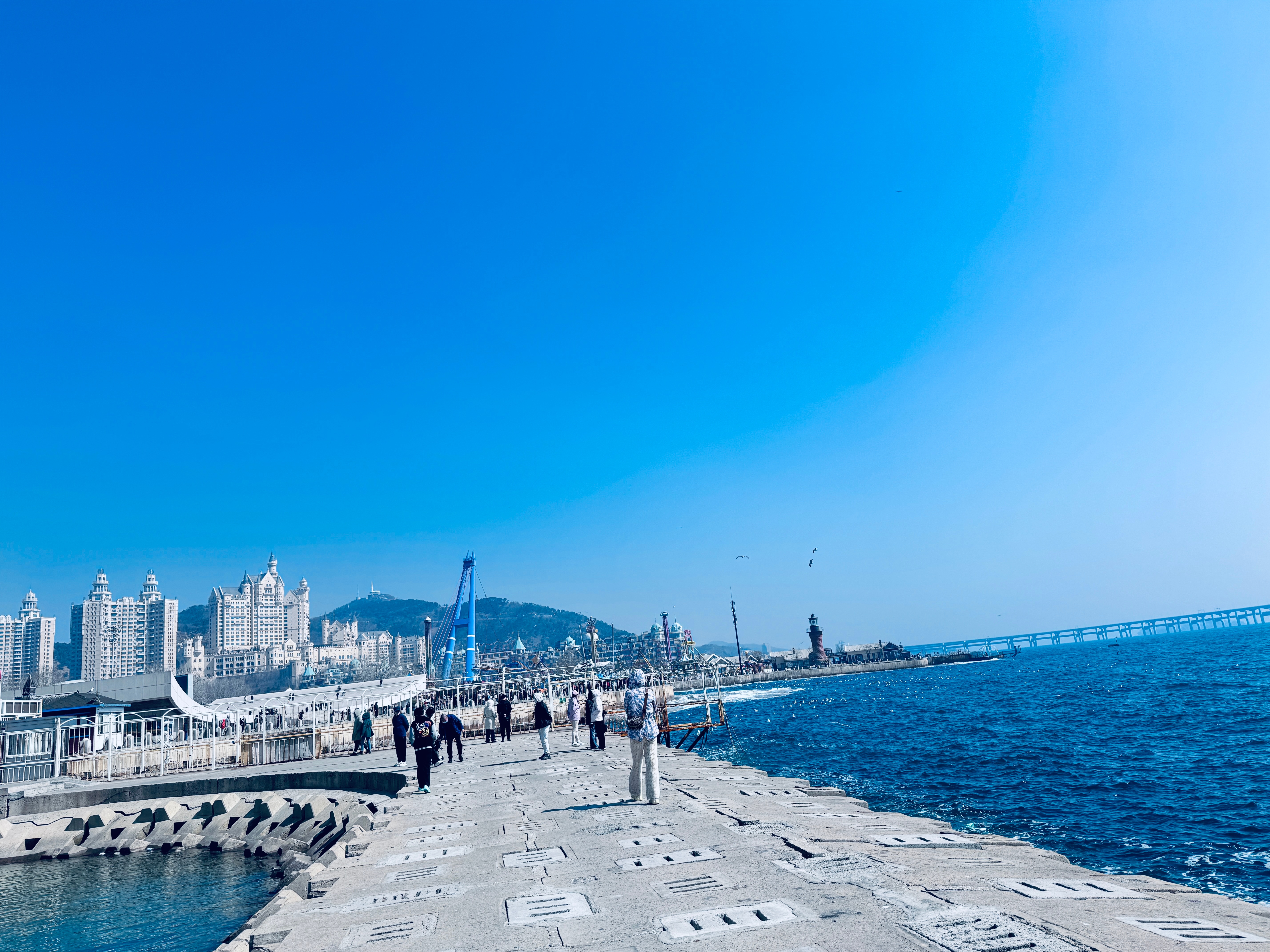 大连盛会,嘉宾云集,观众热情如火