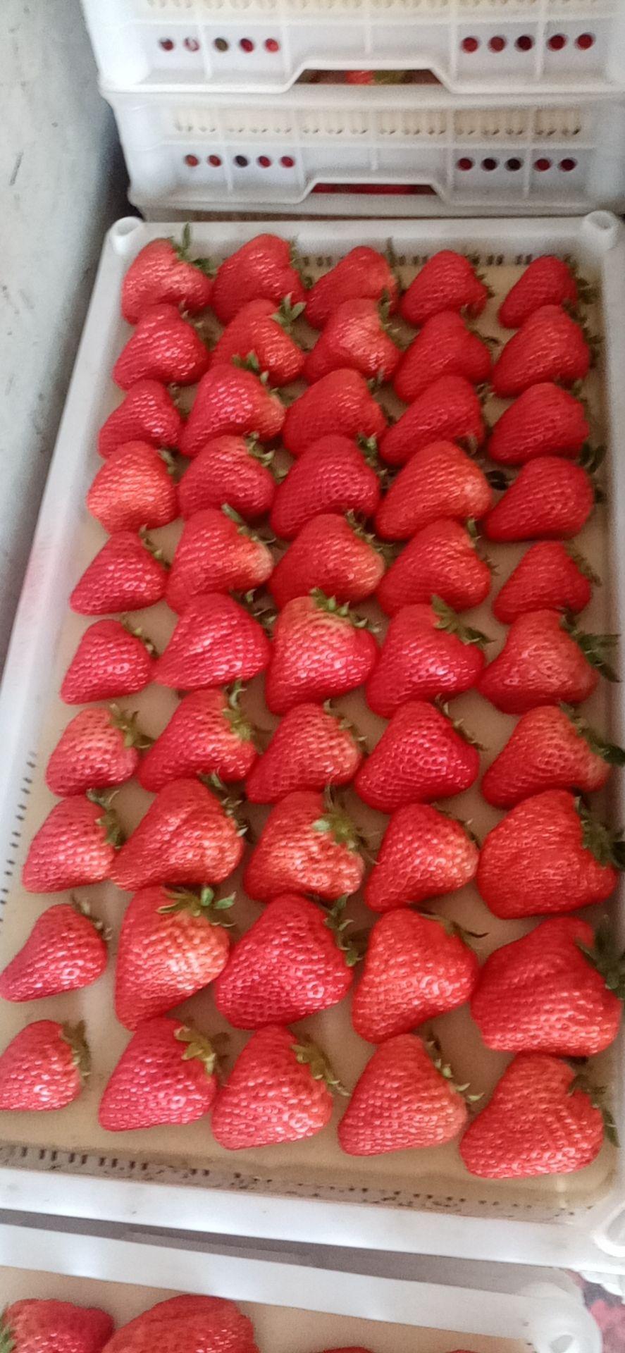 丹东深度之旅,体验与感悟之旅