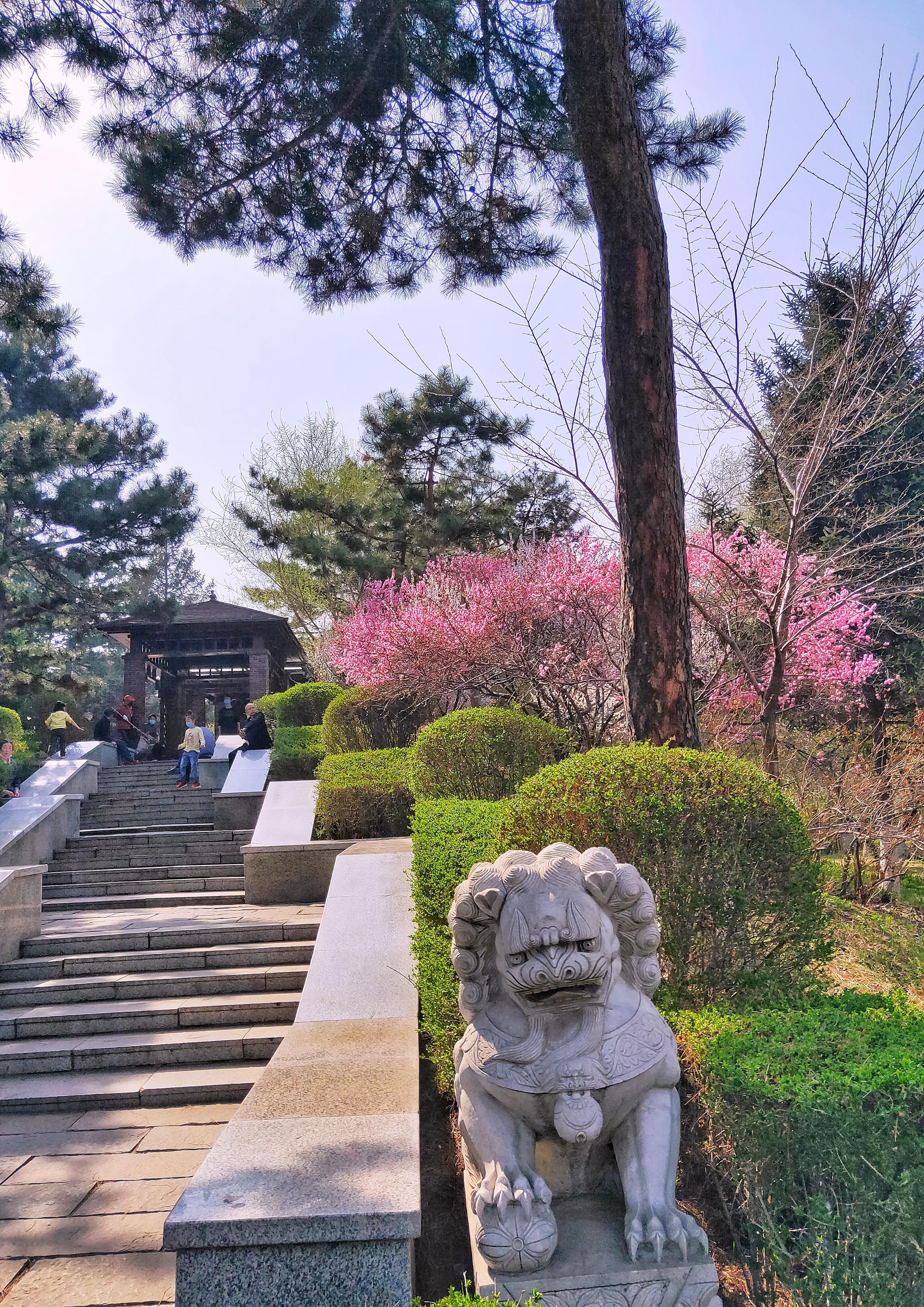 长春,历史底蕴与现代魅力的融合典范之城