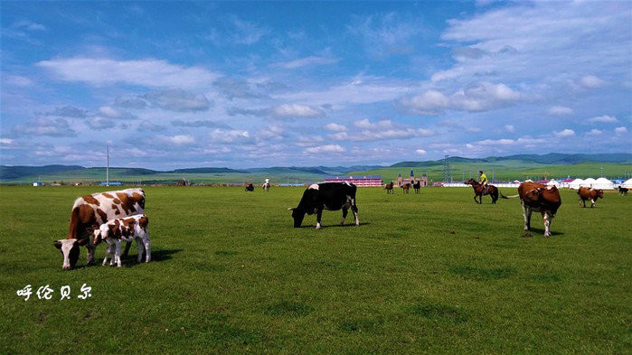 呼伦贝尔大草原,夕阳下的壮美画卷