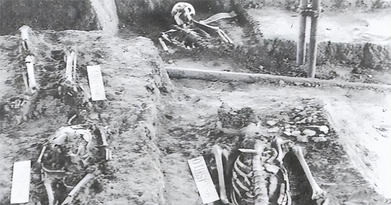 抚顺暖阳下的时光记忆